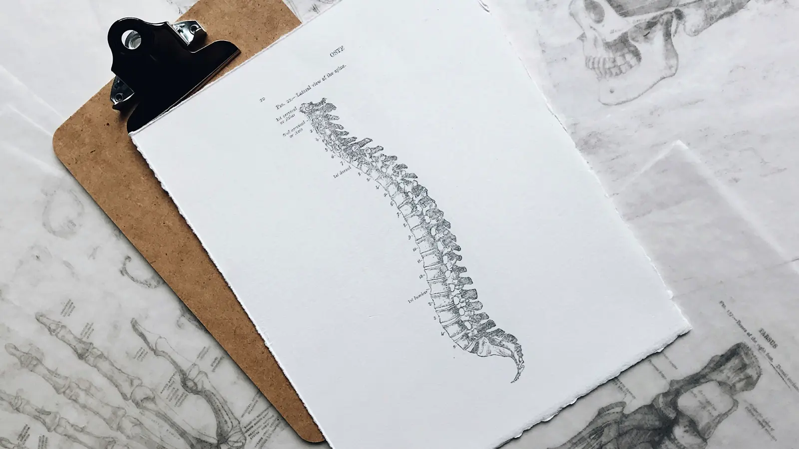 cartella-clinica-anziano